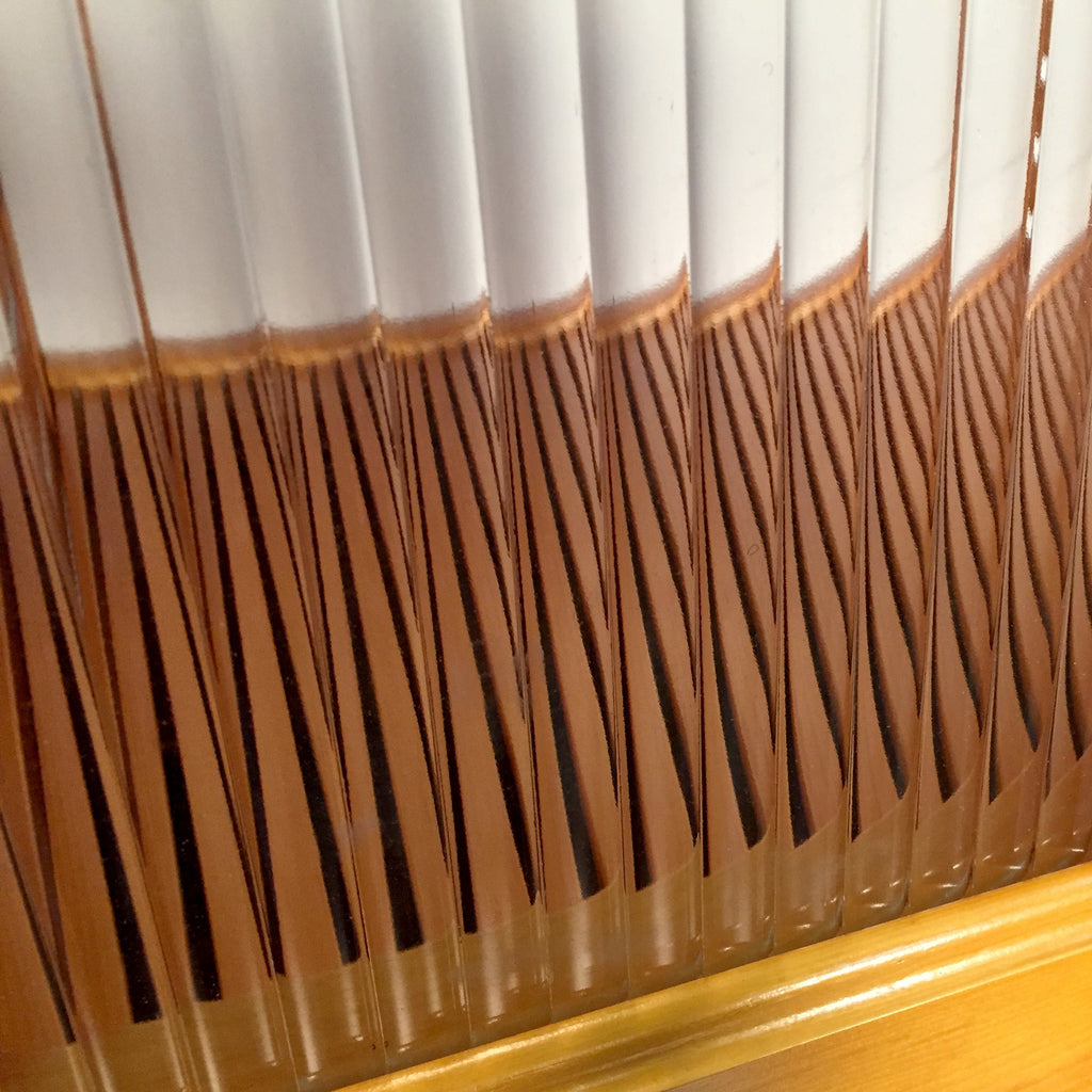 12in Deep Premier Bundle #2 - Modern